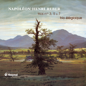 Piano Trio No. 3 in G Minor, Op. 16: III. Allegro
