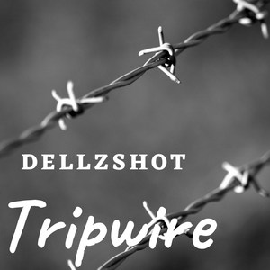 Tripwire