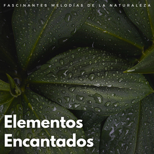 Cuentos De Serenidad