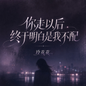 你走以后终于明白是我不配