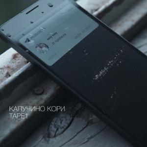 залпом