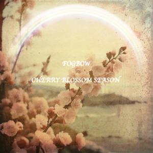 Cherry blossom season