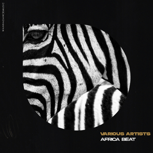 Soul Mokassa (WDM Mix)