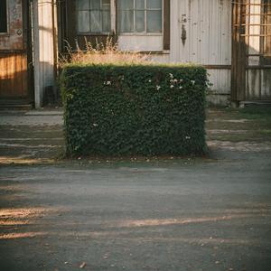 送窦司马贬宜春