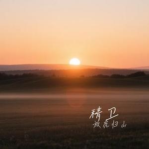 精卫（Cover 王悦辰）