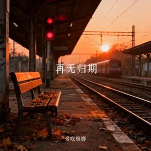 再无归期 (Cover 宸枫)