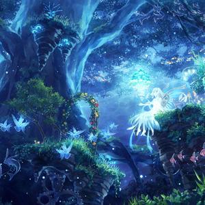 沉木国·私夏颂