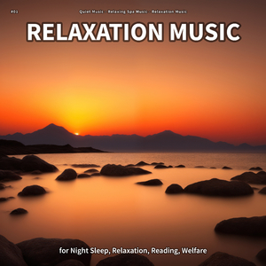 Relaxation Music, Pt. 41