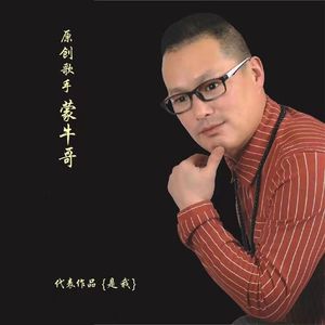 是我(DJ版)