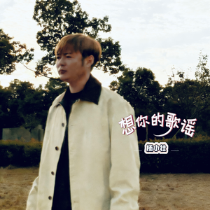 想你的歌谣