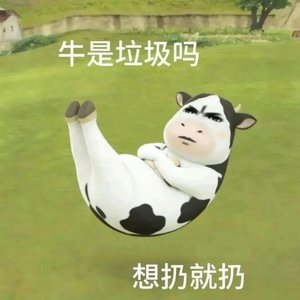 夜空中最亮的星