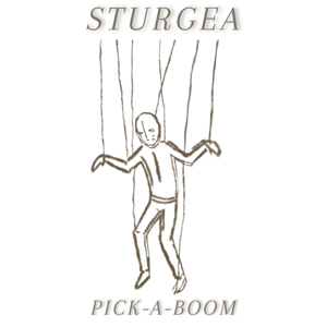 Pick-a-Boom