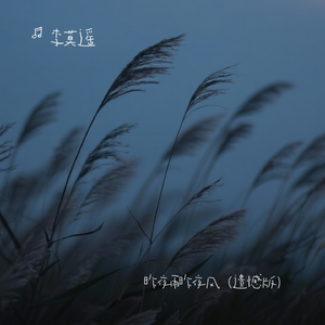 昨夜雨和昨夜风