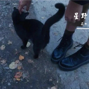 图书馆扉页的未赴之约