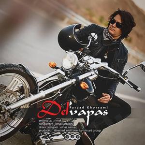 Delvapas