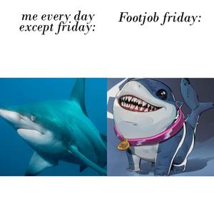Sharky