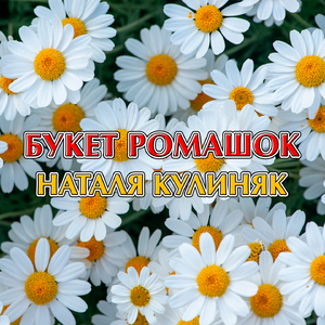 Букет ромашок