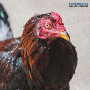 Systems (feat. Moby)