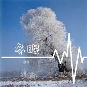 司南-冬眠（槿年 remix）