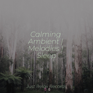 Pluviophile's Lullaby