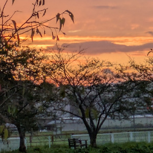 ここにいるから