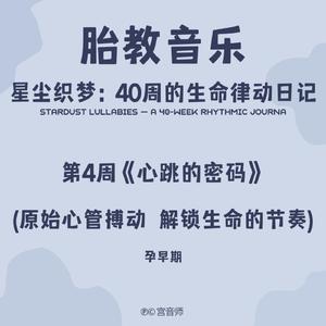 胎教音乐第4周《心跳的密码》