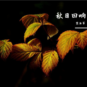 如果我变成回忆