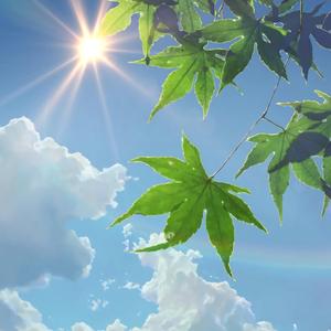 忽而今夏（翻唱汪苏泷完整版）