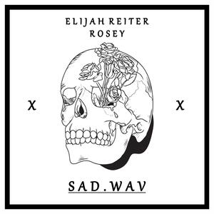 Sad.Wav (feat. riprosey)