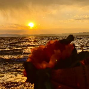 云陕书·赠故人