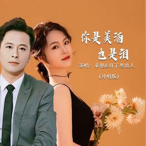你是美酒也是泪 (对唱版)