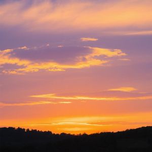 归影悠悠随水去