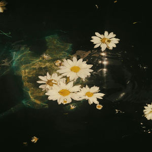 আমি তোমার চোখে আমাকে দেখতে চাই