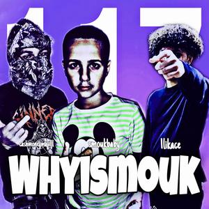 117whyismouk