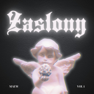 Zasłony (Cover)