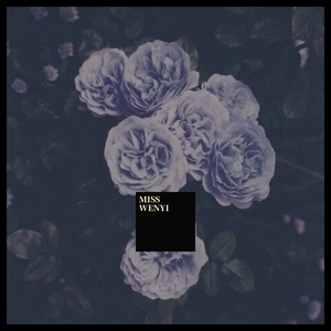 烟囱-MISS WENYI（Fire 9 remix）