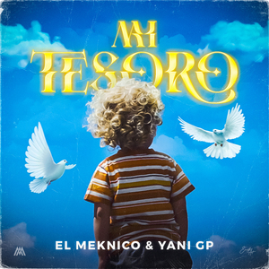 Mi Tesoro