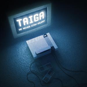 We Never Stay Silent