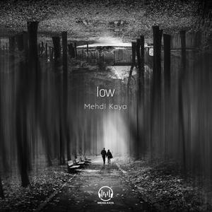 low (instrumental)