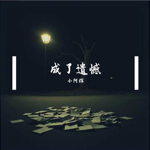 成了遗憾 伴奏