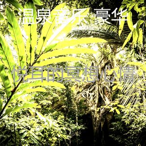 抚慰的回春回忆