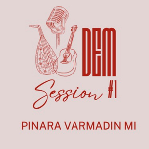 Pınara Varmadın mı