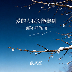 爱的人我没能娶到 (解不开的扣)