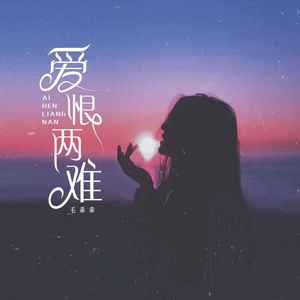 爱恨两难 (DJ版)