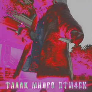 ТАААК МНОГО ПТИ4ЕК