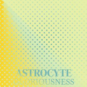 Perspicacious Care