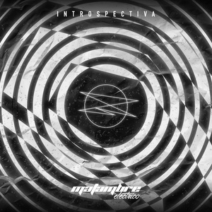 Introspectiva