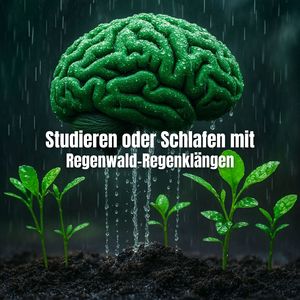 Vogelgesänge im Abendlicht