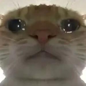 坏猫之歌（BGM）