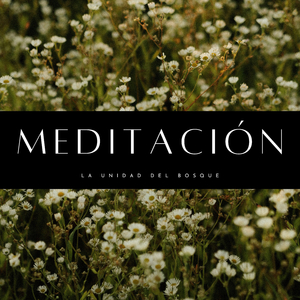 El Espíritu Del Bosque